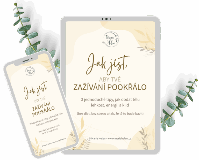 E-book o&nbsp;trávení
